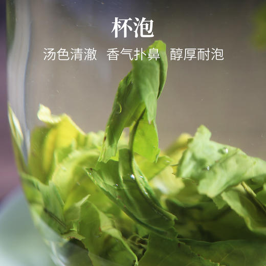 徽六丨瓜片水青 绿茶 一级 250g
 商品图3