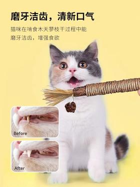【磨牙洁齿】猫咪超喜欢的木天蓼磨牙棒自嗨解闷洁牙逗猫玩具