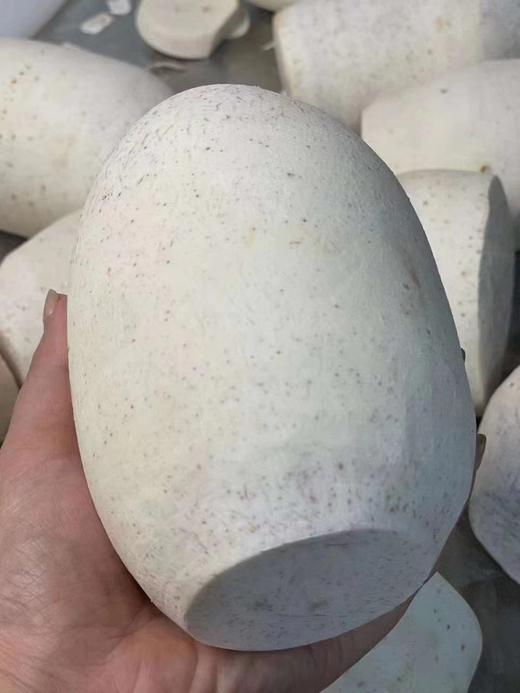 周三取货：【鲜切荔浦芋头片】一袋300g，二次精削皮，削头去尾，芋肉足，香、甜、粉、糯，颠覆你想象！ 商品图3