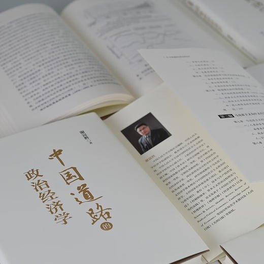 中国道路的政治经济学 谢富胜 著 中国经济 商品图1