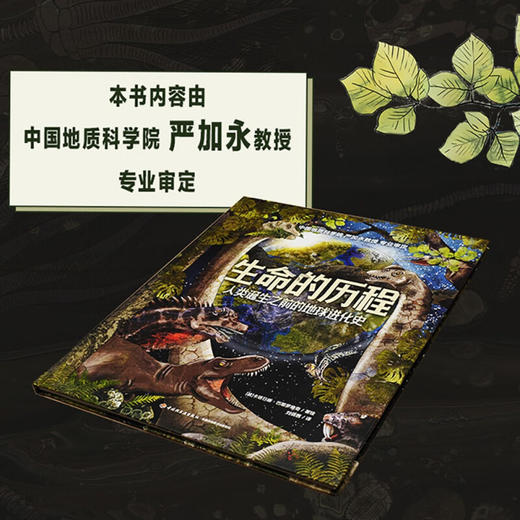 生命的历程 7-10岁 卡塔日娜·巴耶罗维奇 著  科普百科 商品图3