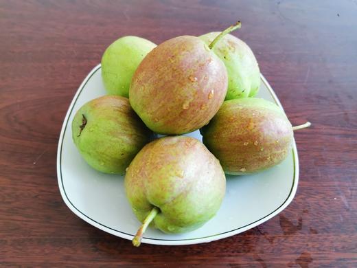 有机种植伏梨有机种植水果、中国有机认证，原生态种植、不催熟、不打药，每一个果实都被细心呵护，精心挑选） 商品图3