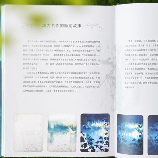 《柳林风声》（世界儿童文学经典） 商品图5