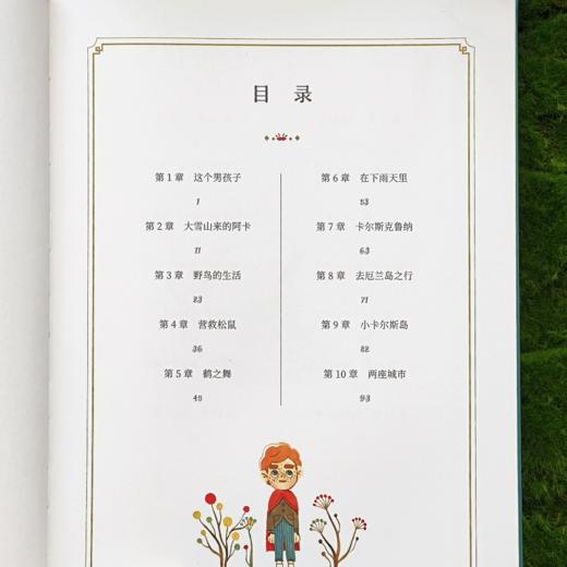 《骑鹅旅行记》（世界儿童文学经典） 商品图2