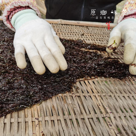 霞浦头水紫菜（成都仓库—顺丰快递）| 125g/袋，来自福建霞浦，生产者：老蔡【合作生产，公平贸易】 商品图6