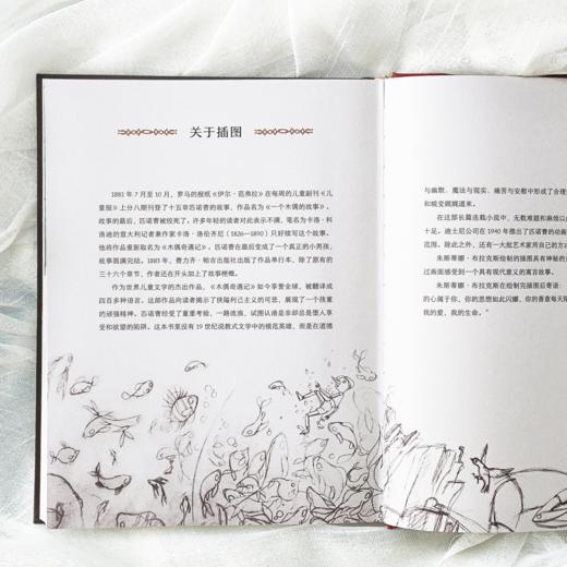 《木偶奇遇记》（世界儿童文学经典） 商品图6