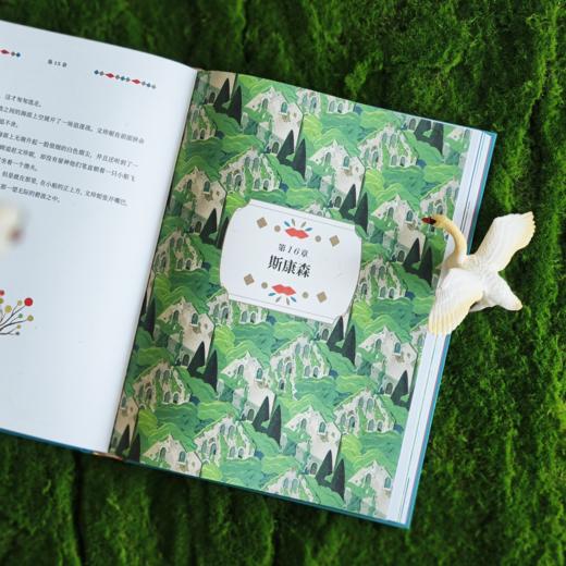 《骑鹅旅行记》（世界儿童文学经典） 商品图1