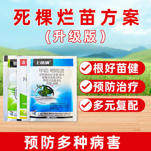 死棵烂苗升级版套装 防治根腐病减少死棵 商品图4