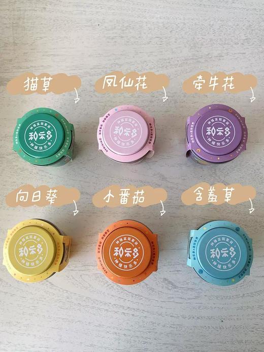 有机联盟植物 商品图12