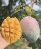 【攀枝花|凯特芒果🥭】💰18.8抢3斤 果园崩盘了，这么好的芒果等于白送❗ 商品缩略图0