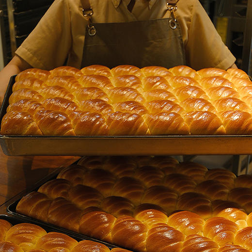 现烤面包—酷斯拉 商品图1