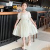 女童清凉雪纺连衣裙夏天2023新款夏季童装女孩公主裙薄款儿童裙子 商品缩略图3