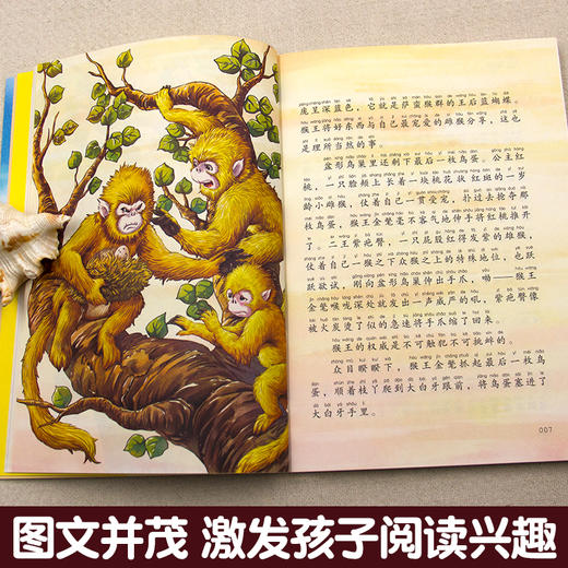 沈石溪动物世界画本《兵猴》经典名著 商品图3
