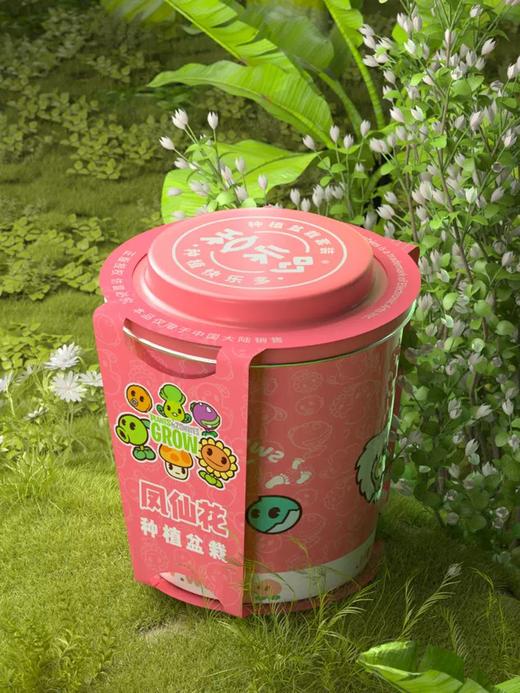 有机联盟植物 商品图8