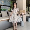 女童夏装连衣裙2023新款童装儿童公主裙水墨画中国风夏季女孩裙子 商品缩略图0
