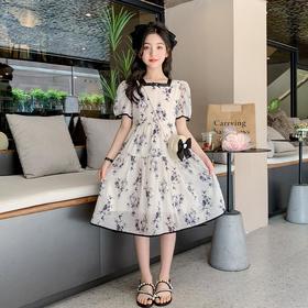 女童夏装连衣裙2023新款童装儿童公主裙水墨画中国风夏季女孩裙子
