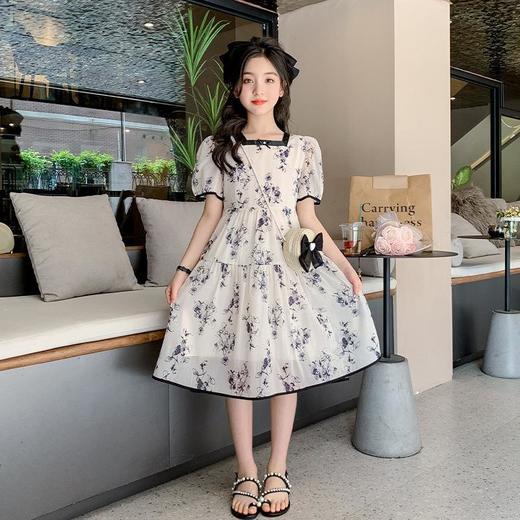 女童夏装连衣裙2023新款童装儿童公主裙水墨画中国风夏季女孩裙子 商品图0