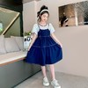 女童夏装连衣裙2023新款洋气女孩牛仔裙女大童裙子儿童夏季公主裙 商品缩略图2