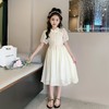 女童汉服连衣裙夏装2023新款童装夏季女孩公主裙儿童中国风旗袍裙 商品缩略图3