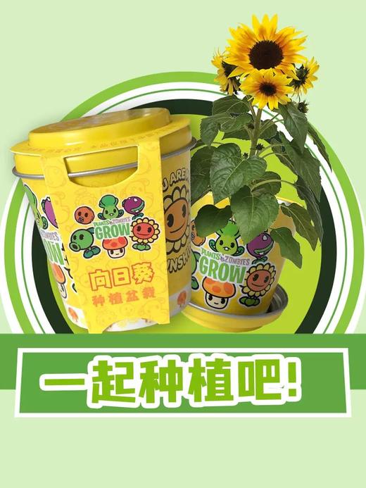 有机联盟植物 商品图5