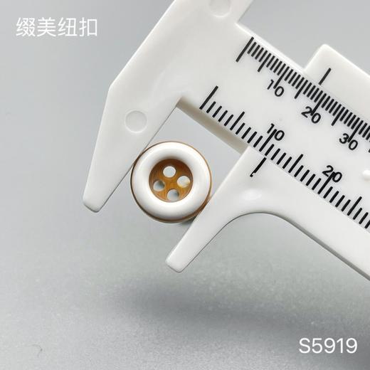 S5919(整包购买) 商品图3