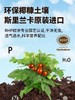 有机联盟植物 商品缩略图3