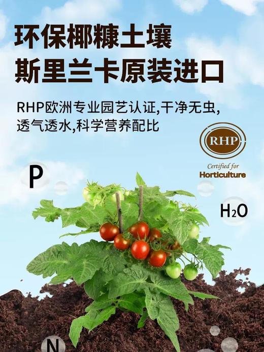 有机联盟植物 商品图3