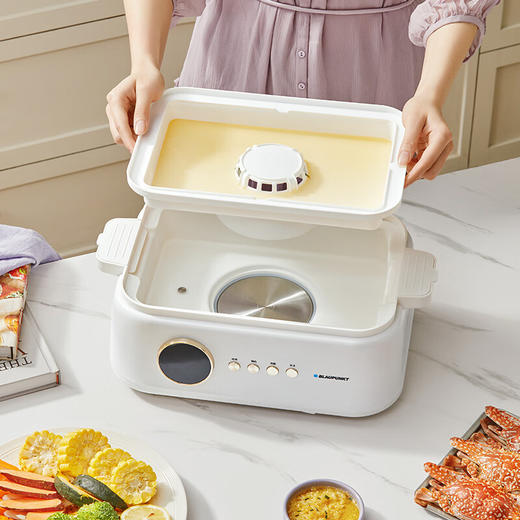 蓝宝鲜蒸锅电蒸锅蒸炖锅多功能家用隔水炖盅全自动预约蒸汽锅电煮锅电炖锅 【炖盅标配+蒸笼】BP-ZG【伊藤优选302401】 商品图4