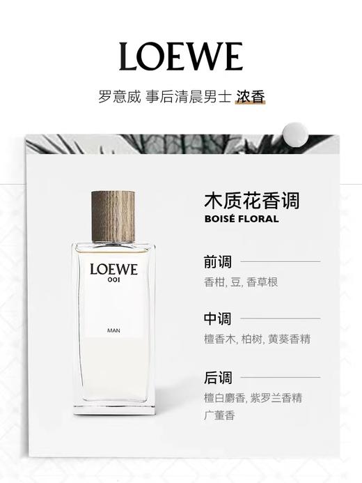 LOEWE/罗意威事后清晨男士浓香水50ML 商品图1