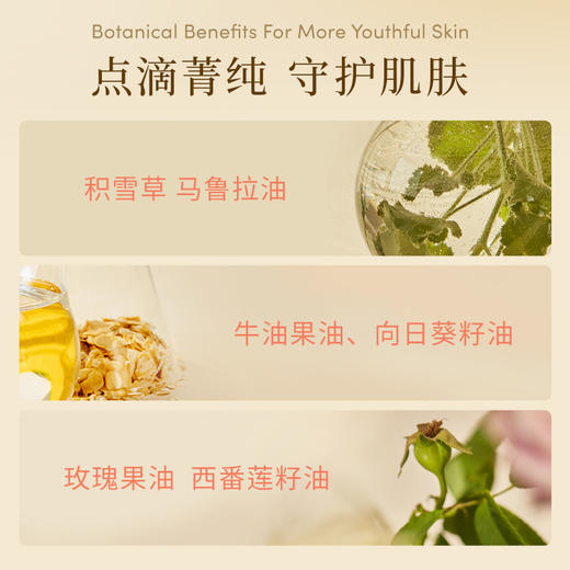 【官方商城】Evereden焕金修护肚精华肚油预防抚纹精华油 50ml正品保证 商品图2