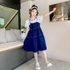 女童夏装连衣裙2023新款洋气女孩牛仔裙女大童裙子儿童夏季公主裙 商品缩略图3