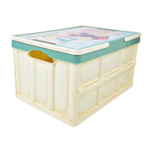 迪士尼迪士尼系列收纳箱（50L)QYNSNX02 商品图0