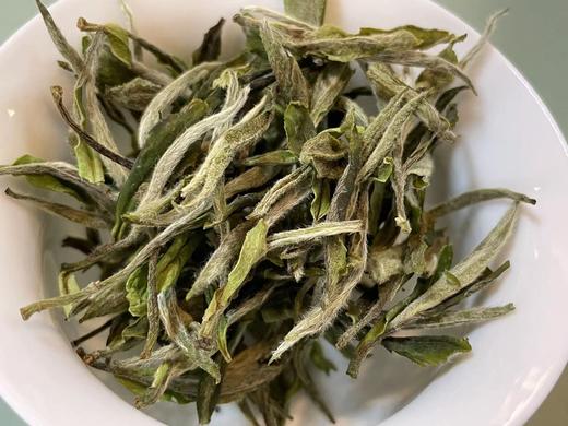 枞古大巧 白牡丹 荒小白 极枞荒野老树 90克/罐 200克/盒 商品图5