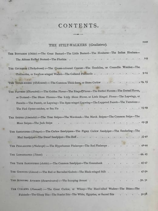 约19世纪后期 卡塞尔鸟类图鉴（卷4） 10幅彩色85幅黑白插图 漆布精装16开 商品图4