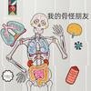 *蝙蝠兔我的骨怪朋友生命人体启蒙双语认知趣味拼图人体科普医生玩具礼物 商品缩略图1
