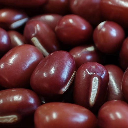 社群专享秒杀福利| 有机绿豆(2023.07产)/有机糯米(2023.07产)，有机认证更安心(满4件包邮) 商品图1