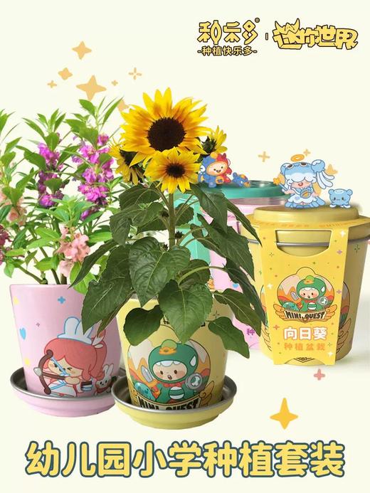 有机联盟植物 商品图9