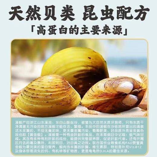 【补钙增体】金装系列50%高蛋白快速成长型诱食龟苗开口粮0-1岁稚龟粮 商品图3