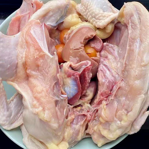 奔牛沈小亚家 散养老母鸡 商品图1