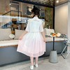 女童夏装汉服连衣裙2023新款儿童公主裙夏季古装国风洋气女孩裙子 商品缩略图3