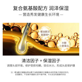 霸王生姜洗发水控油持久清爽蓬松去屑止痒生姜精华洗发液洗头膏500ml 商品图5