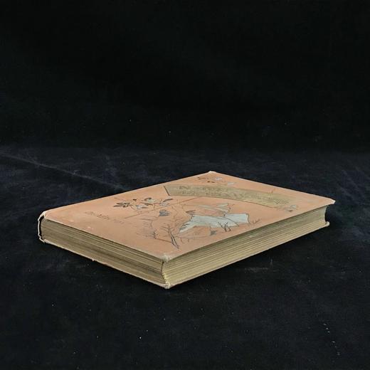 约19世纪后期 自然的巨大奇迹 福斯特数十幅插图 漆布精装32开 商品图1