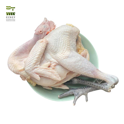 奔牛沈小亚家 散养老母鸡 商品图0