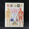 人体解剖图解指南 数百幅彩色插图 精装大16开 商品缩略图0