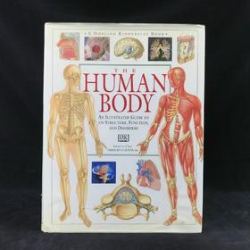 人体解剖图解指南 数百幅彩色插图 精装大16开