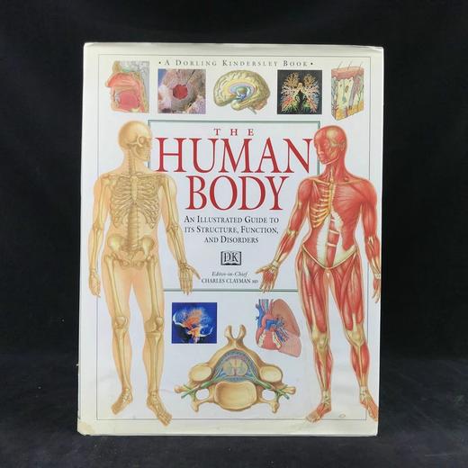 人体解剖图解指南 数百幅彩色插图 精装大16开 商品图0