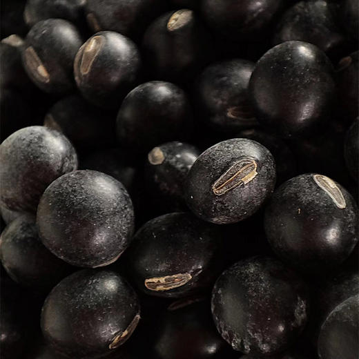 社群专享秒杀福利| 有机绿豆(2023.07产)/有机糯米(2023.07产)，有机认证更安心(满4件包邮) 商品图5