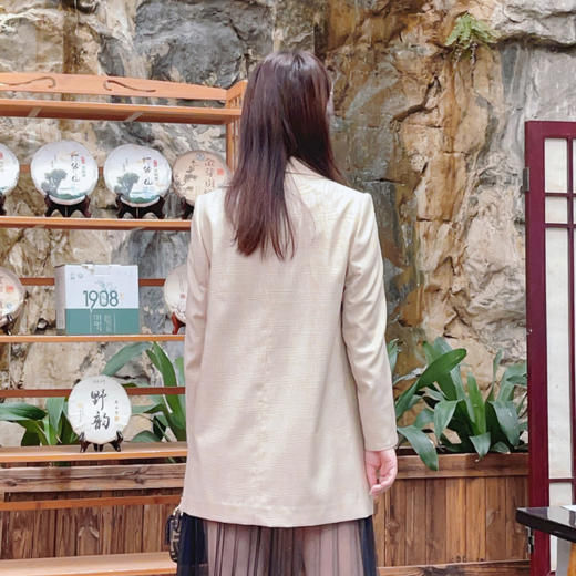 圣三利 新款翻领威尔士双色格纹休闲西服外套SL2012102 商品图2