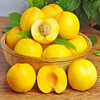 山东蒙阴黄油桃（4.5斤礼盒） 商品缩略图4