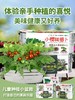 有机联盟植物 商品缩略图13